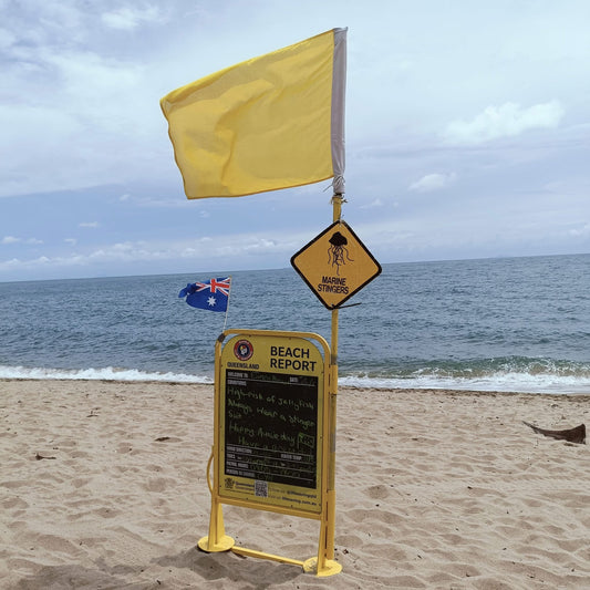 Stinger Season Is Back. Here's How to Keep Swimming.