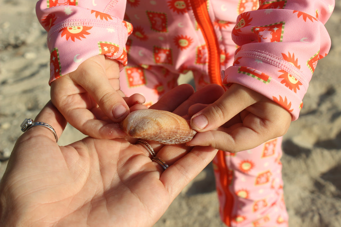 Sea Lice Aren’t Actually Lice -  Here’s Why a Stinger Suit Helps
