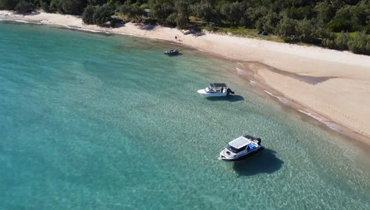 The Dangers of Jellyfish in Northern Australia: How They Affect Diving, Ocean Sports, and Cooling Off in the Heat