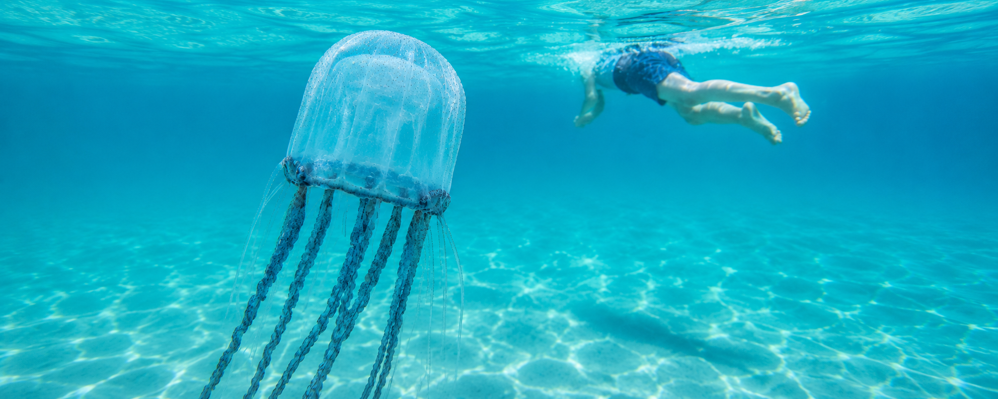 kid marine stinger jellyfish ocean stinger suit